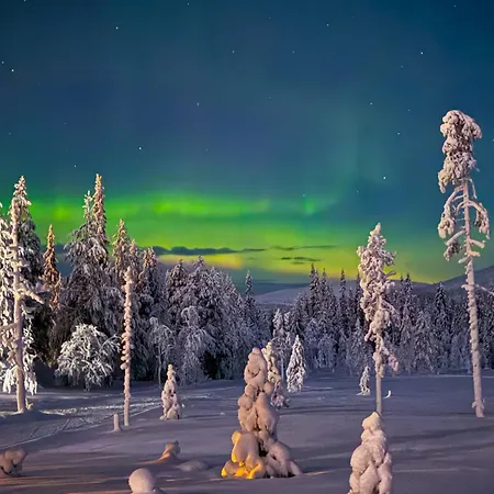 Quiet Apartment, Sauna, Free Wi-fi And Car Charging